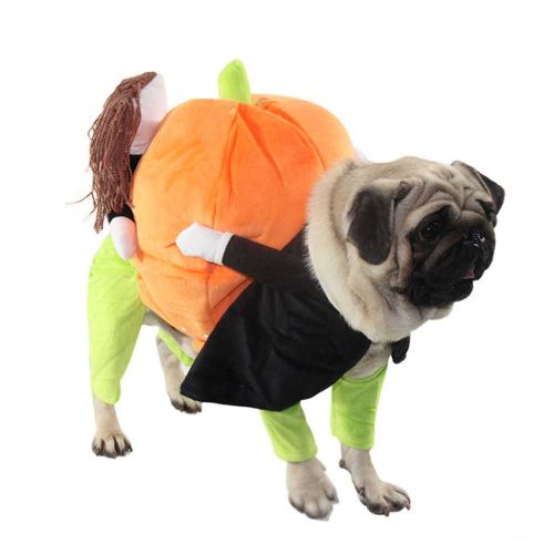 pumkincostume.jpg