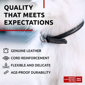 Ultra Soft Rolled Leather Dog Collar for Small Dogs Soft Padded Male and Female Dog Collar 8-10 inch Neck Black Color