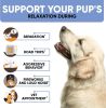 Calming Chews for Dogs Calming Treats with Hemp Oil Valerian Root Vitamin B Dog Anxiety Relief Separation Fireworks Thunderstorms Vet All Breeds 180 B