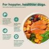 Jinx Salmon, Sweet Potato & Carrot Dry Dog Food, Grain Free, 23.5 lb. Bag