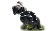 Observe Pet Leisurely with Pet Tracker Realtime GPS Dog Tracking Collar Mount Device Size:L