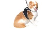 Mini Waterproof Dog Collar GPS Tracking Device Portable Pet Finder NEW Size:L