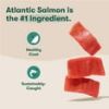 Jinx Salmon, Sweet Potato & Carrot Dry Dog Food, Grain Free, 23.5 lb. Bag