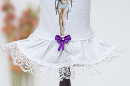 Vixens Dog Dress (Color: White, size: S)