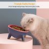 Raised Tilted Elevated Cat Food Bowl Pet Backflow Prevention Water Dish Feeding Bowl for Cats Small Dogs GPCT3388
